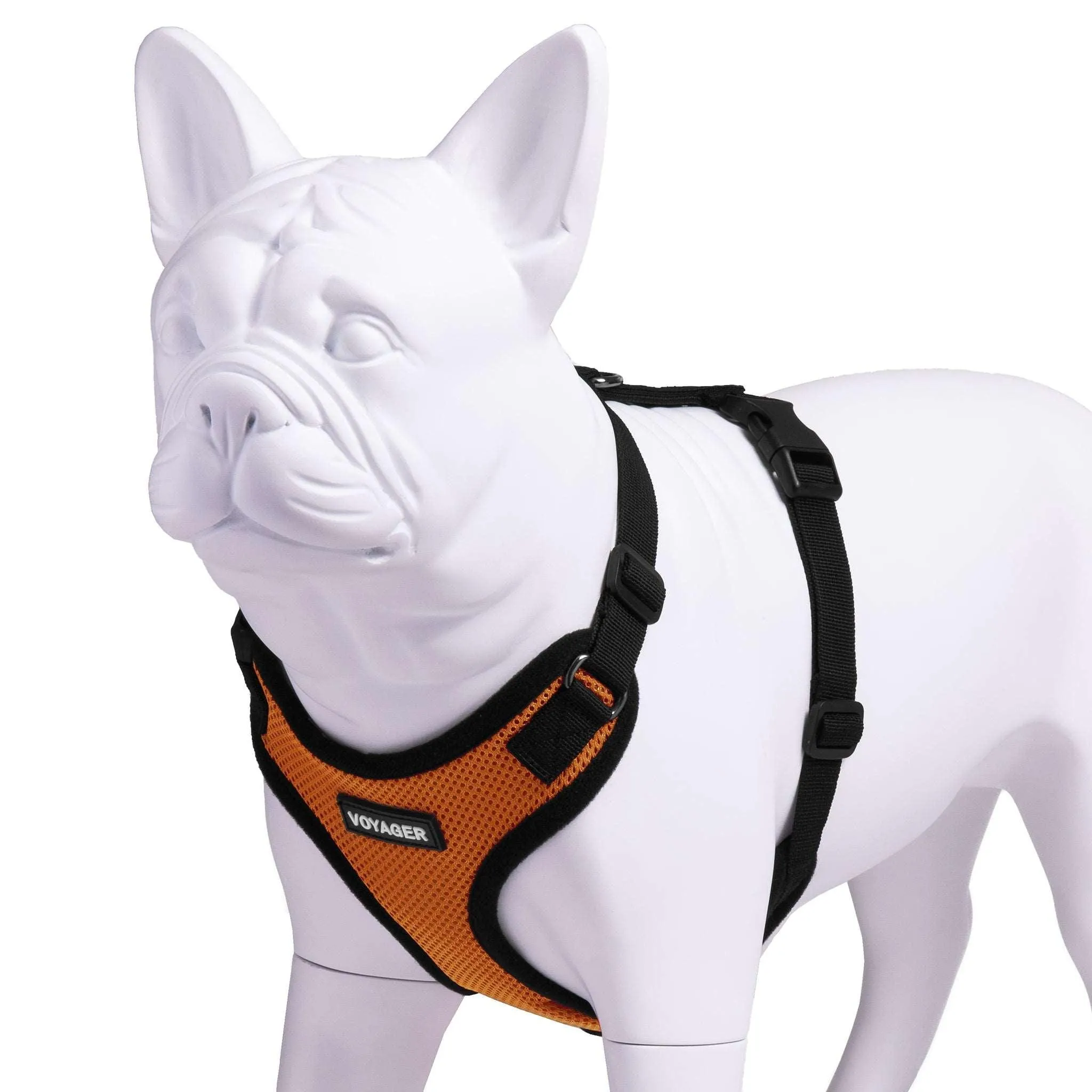 Step-In Lock Pet Harness