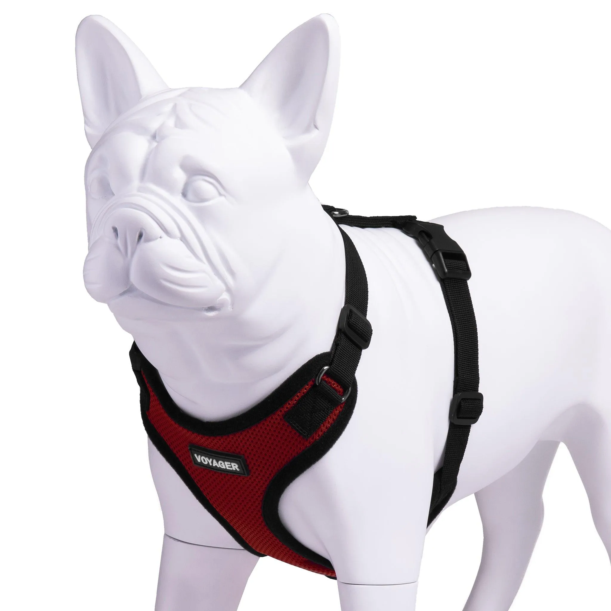 Step-In Lock Pet Harness