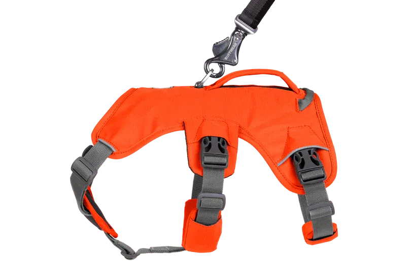 Web Master Dog Harness with Handle from Ruffwear