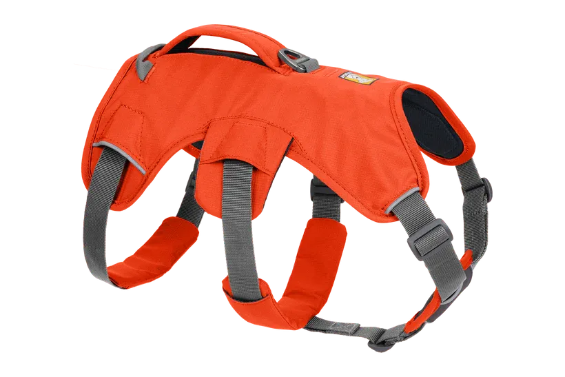 Web Master Dog Harness with Handle from Ruffwear