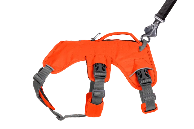 Web Master Dog Harness with Handle from Ruffwear