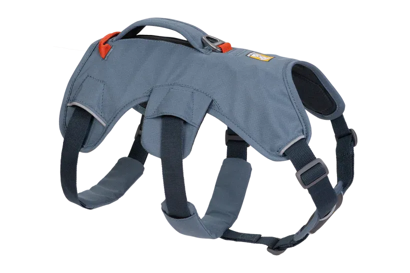 Web Master Dog Harness with Handle from Ruffwear