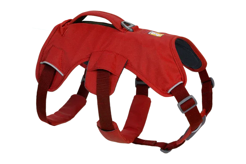 Web Master Dog Harness with Handle from Ruffwear